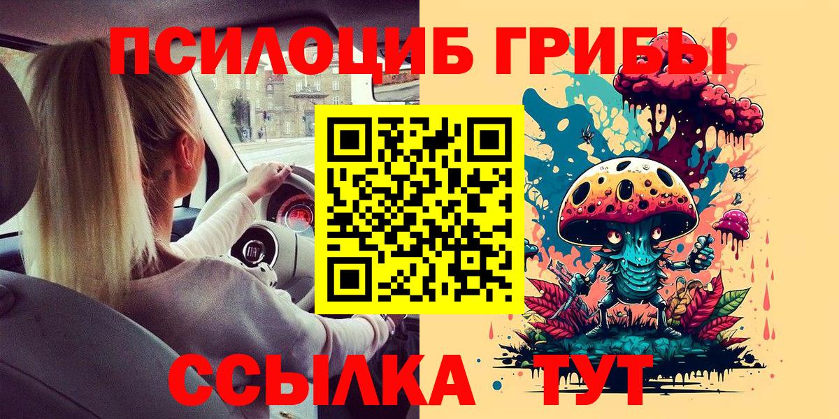 как найти закладки  Псилоцибиновые грибы Psilocybe  Вход с VPN  Череповец 