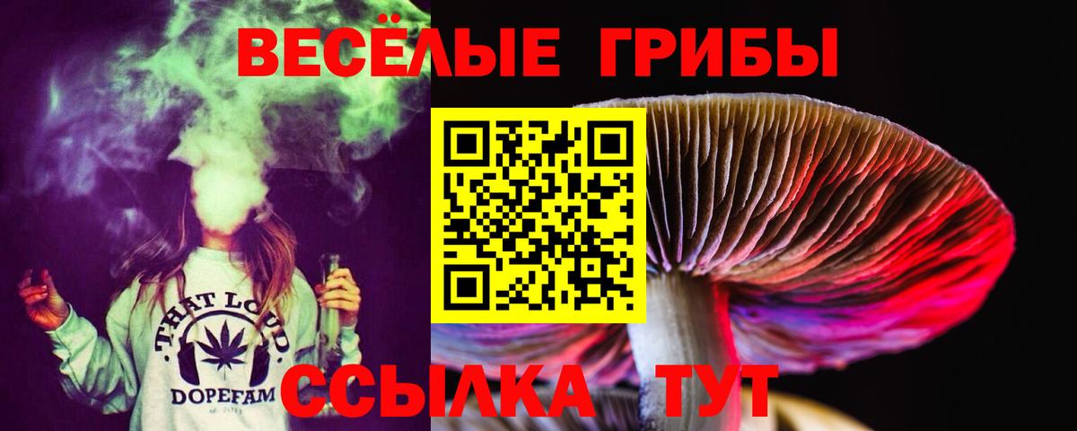 Псилоцибиновые грибы Cubensis Череповец